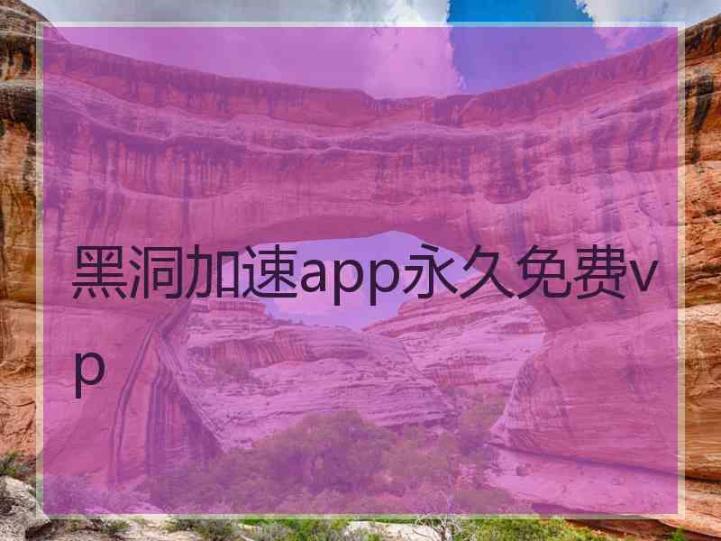 黑洞加速app永久免费vp