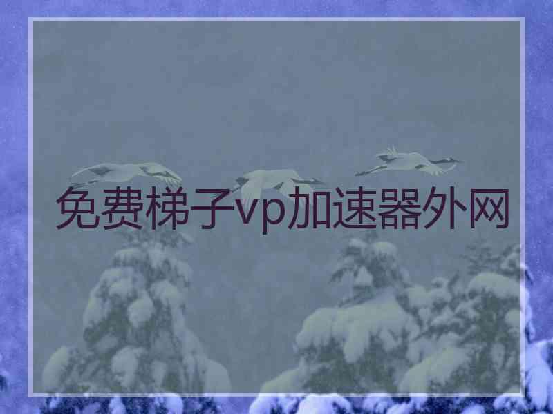 免费梯子vp加速器外网