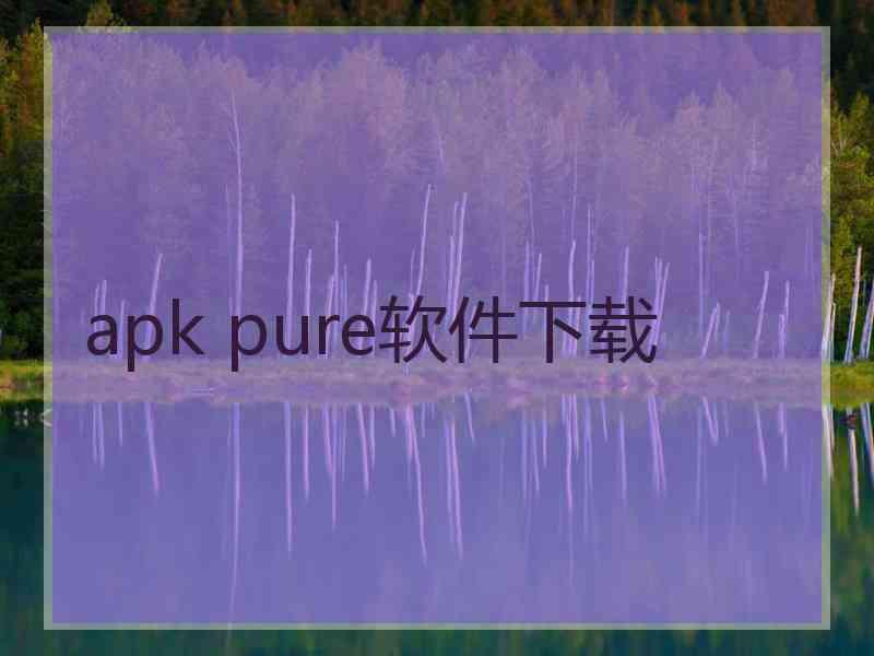 apk pure软件下载