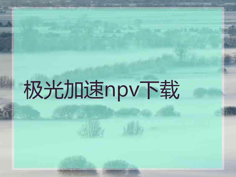 极光加速npv下载