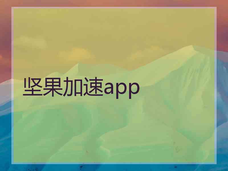 坚果加速app