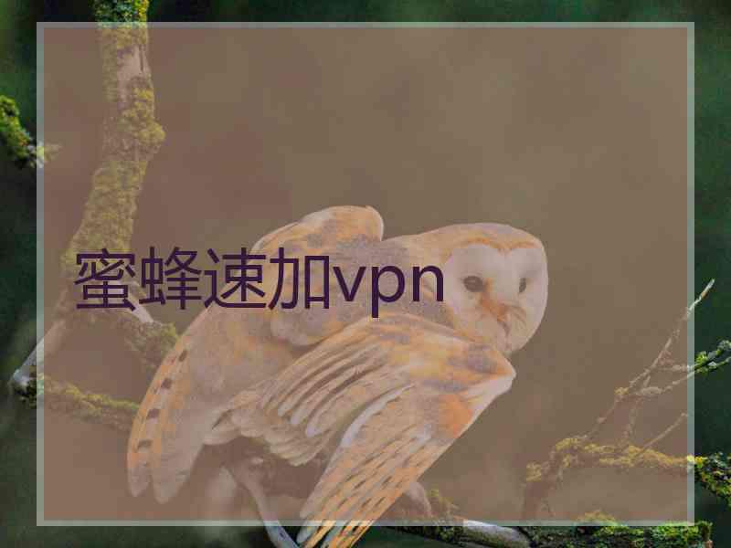 蜜蜂速加vpn