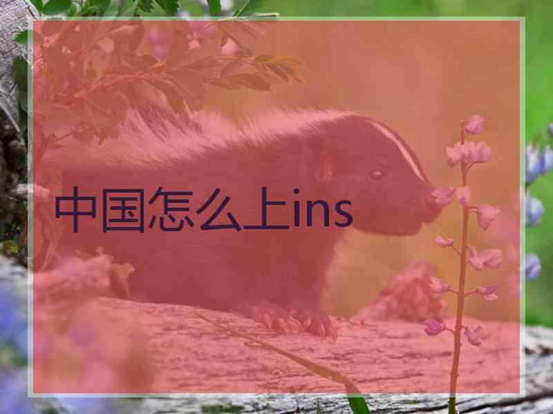 中国怎么上ins