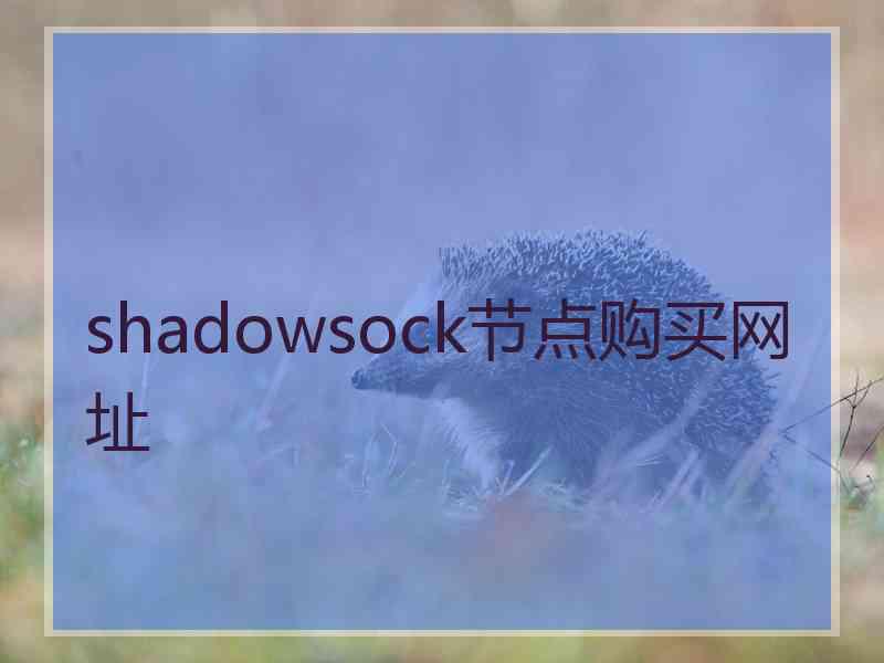 shadowsock节点购买网址