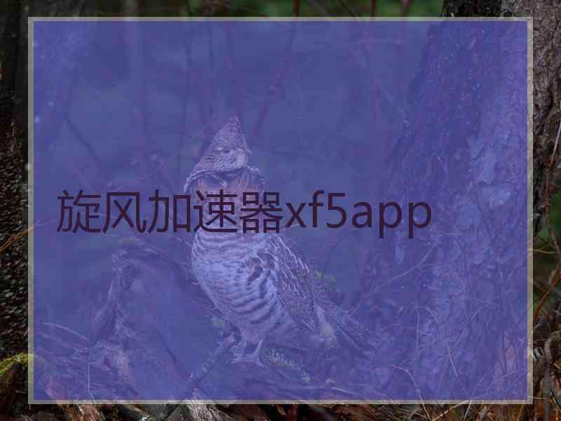 旋风加速器xf5app