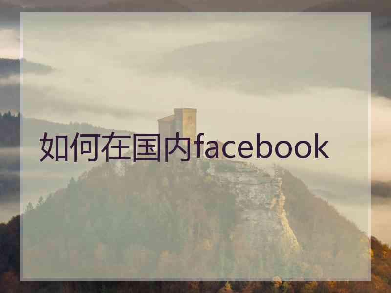 如何在国内facebook