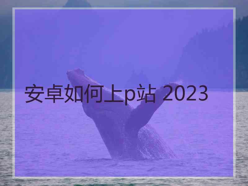 安卓如何上p站 2023