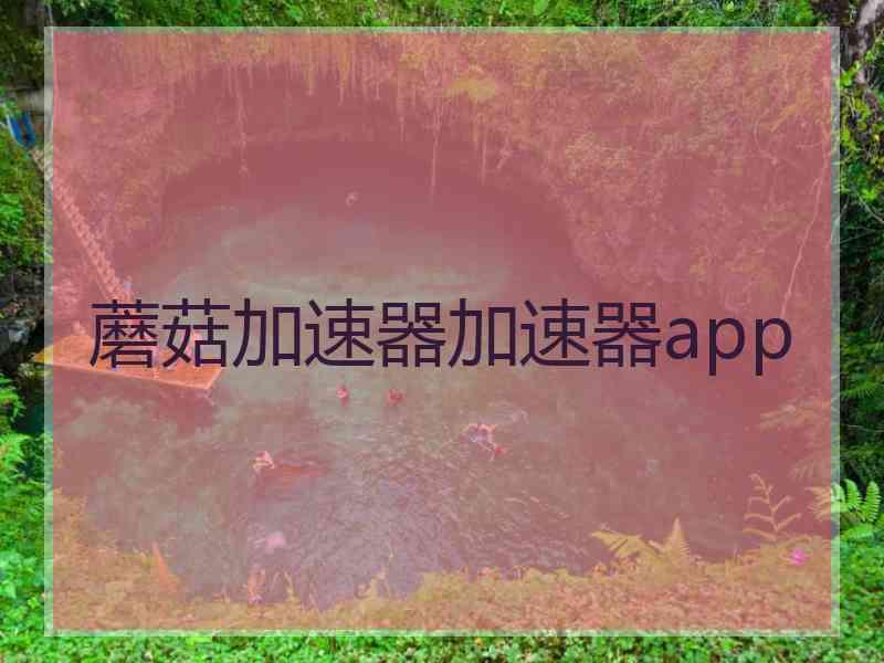 蘑菇加速器加速器app