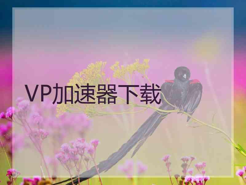 VP加速器下载