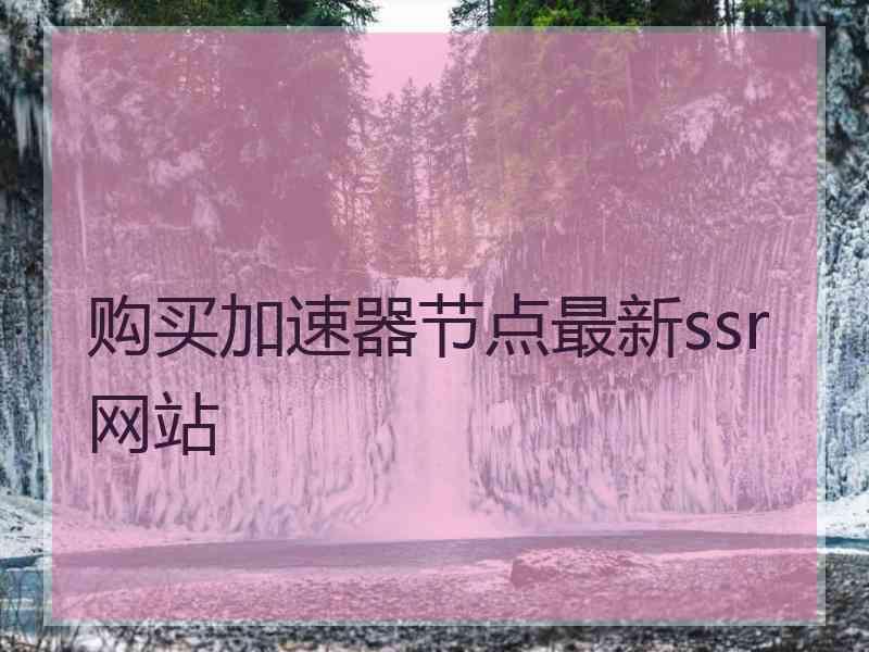 购买加速器节点最新ssr网站