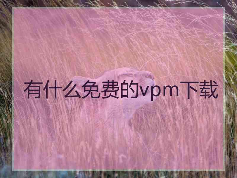 有什么免费的vpm下载