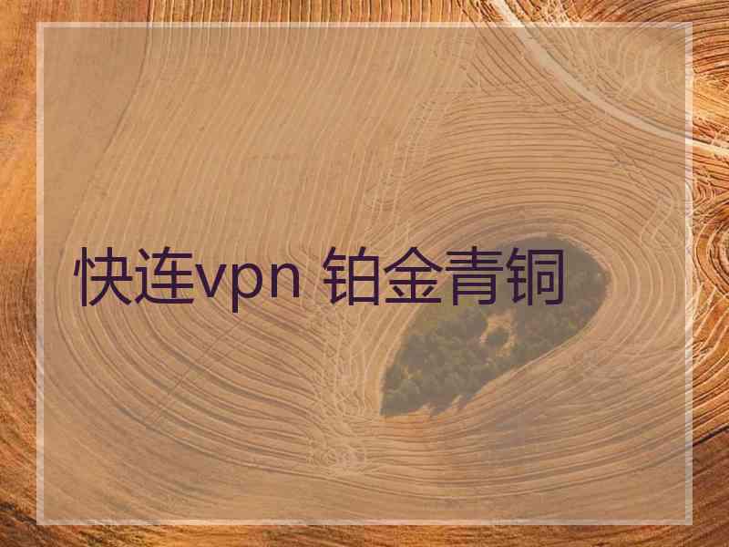 快连vpn 铂金青铜