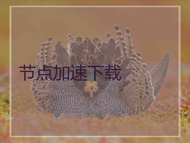 节点加速下载