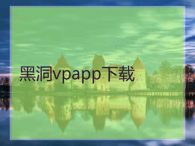 黑洞vpapp下载