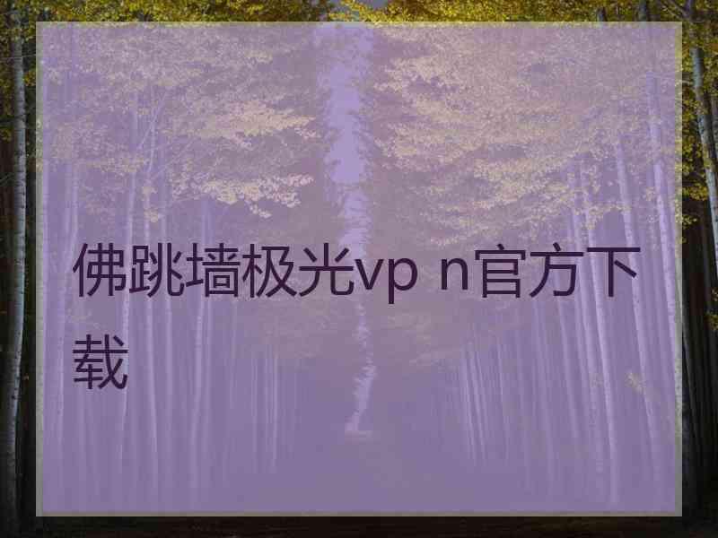 佛跳墙极光vp n官方下载