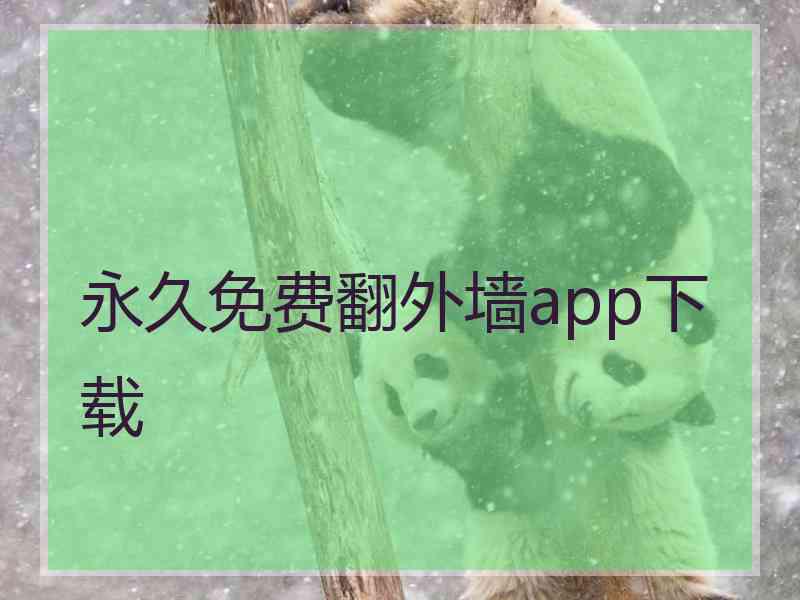 永久免费翻外墙app下载