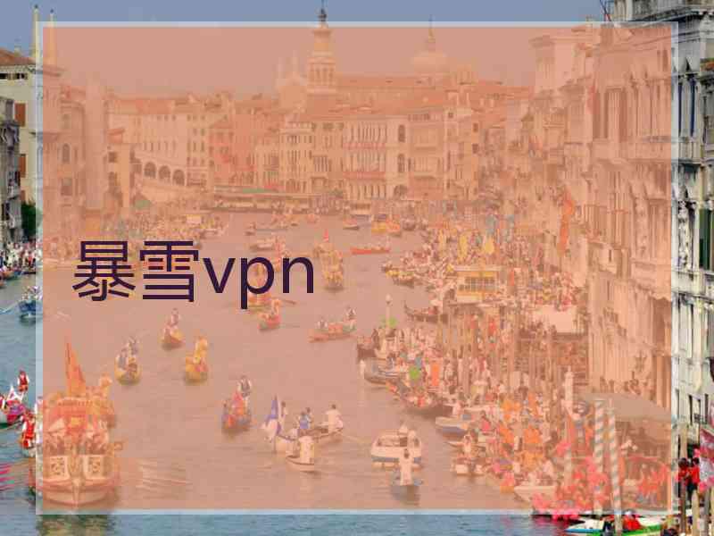 暴雪vpn