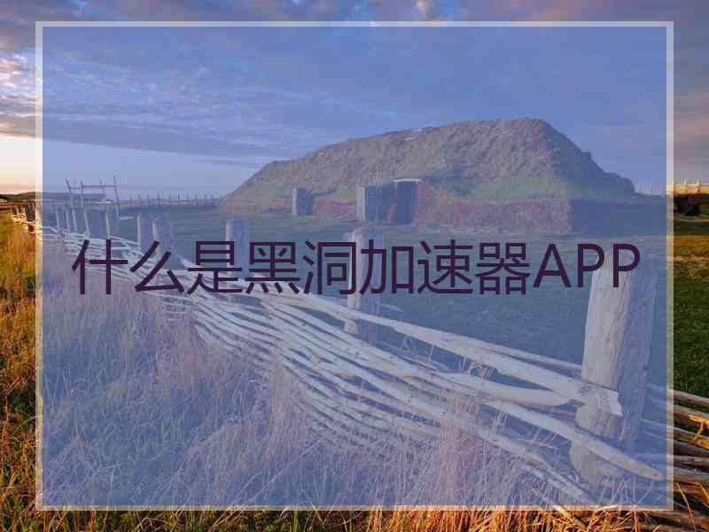 什么是黑洞加速器APP