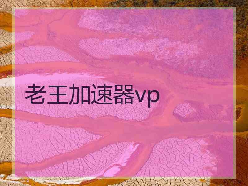 老王加速器vp