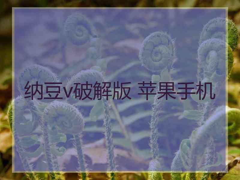 纳豆v破解版 苹果手机