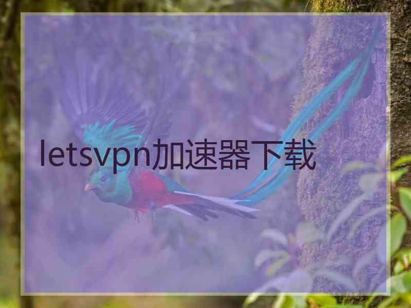 letsvpn加速器下载