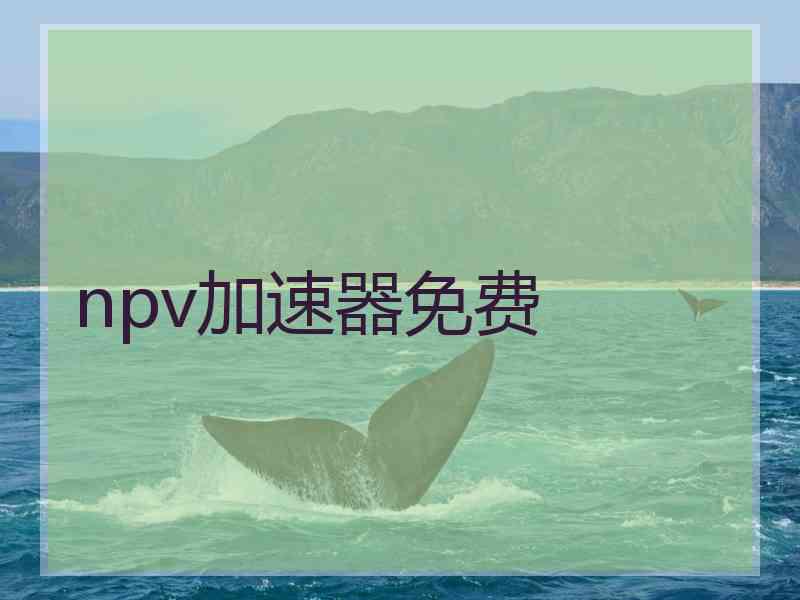 npv加速器免费