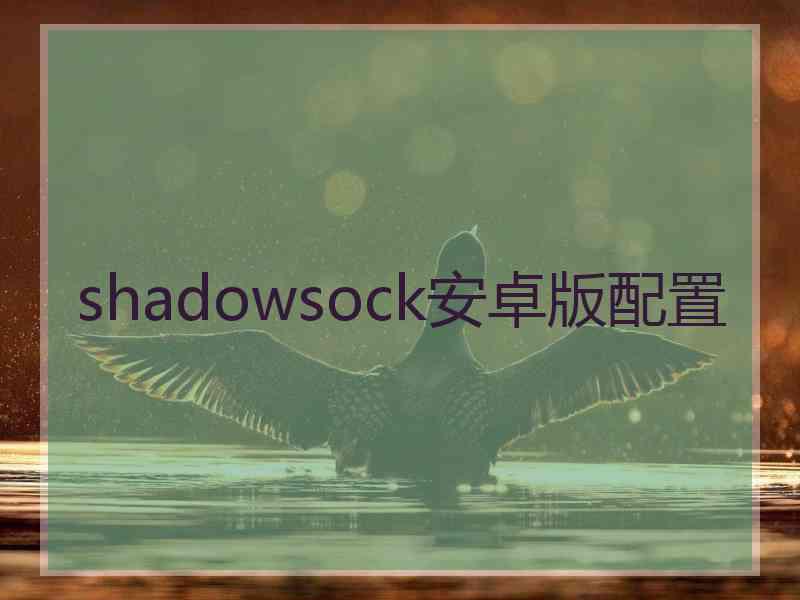 shadowsock安卓版配置