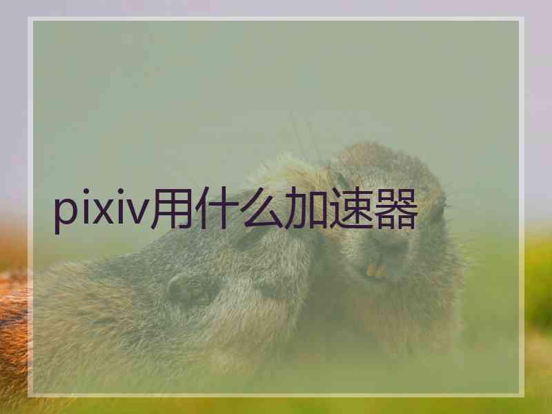 pixiv用什么加速器