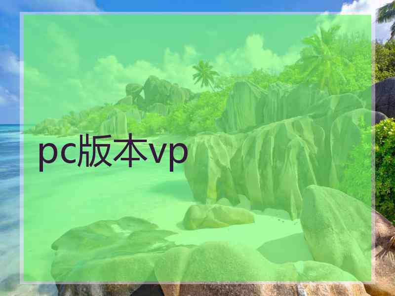 pc版本vp