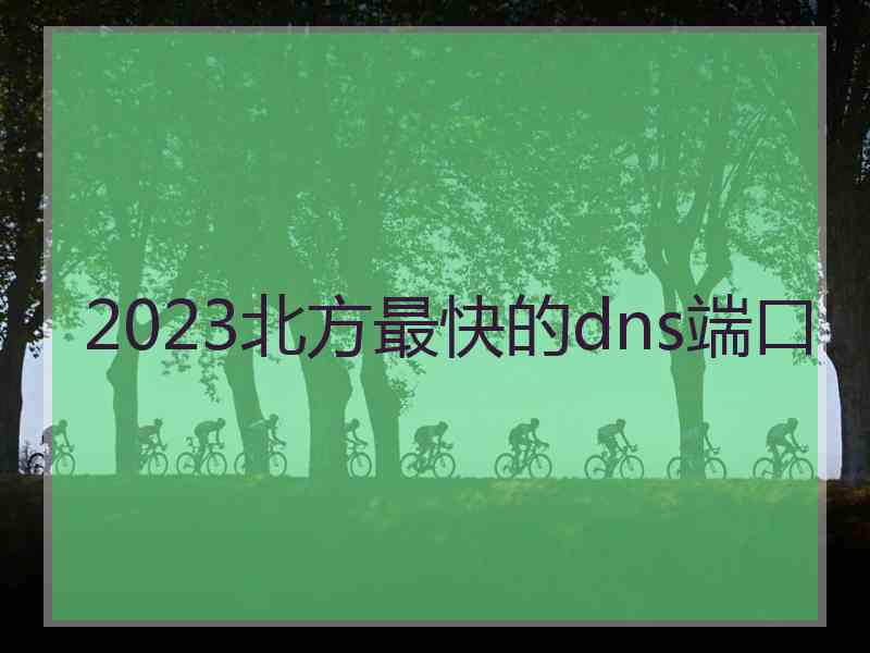 2023北方最快的dns端口