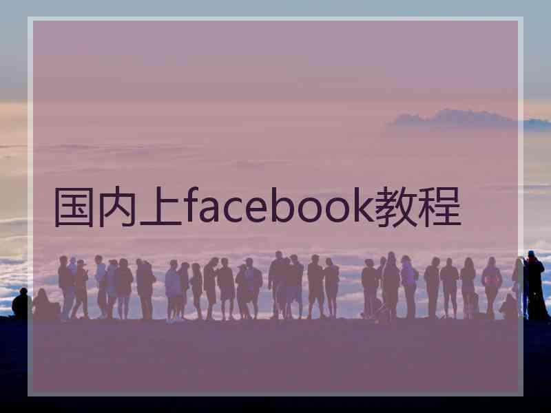 国内上facebook教程