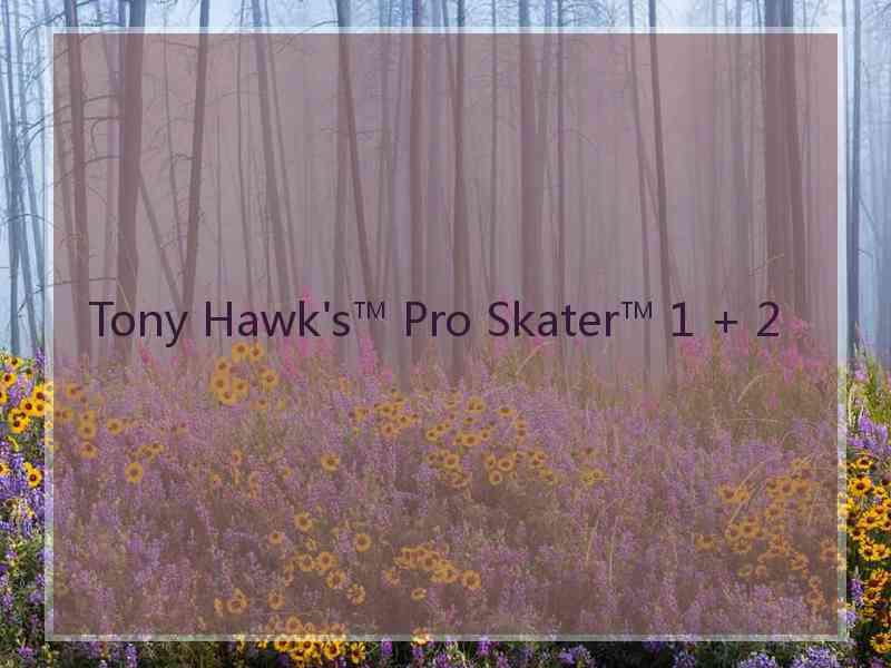 Tony Hawk's™ Pro Skater™ 1 + 2