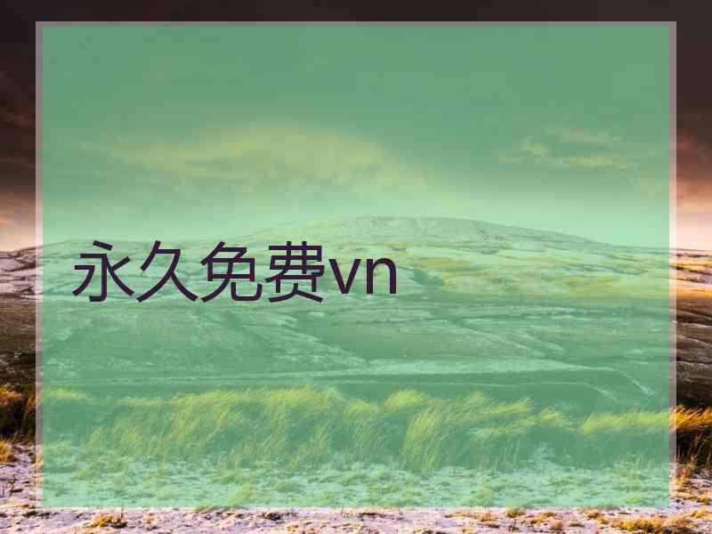 永久免费vn