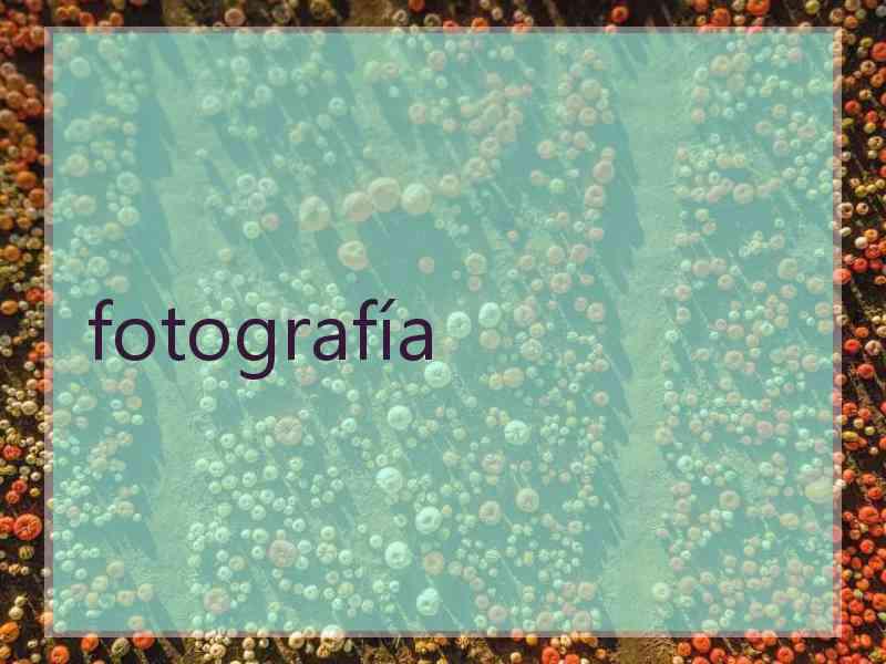 fotografía