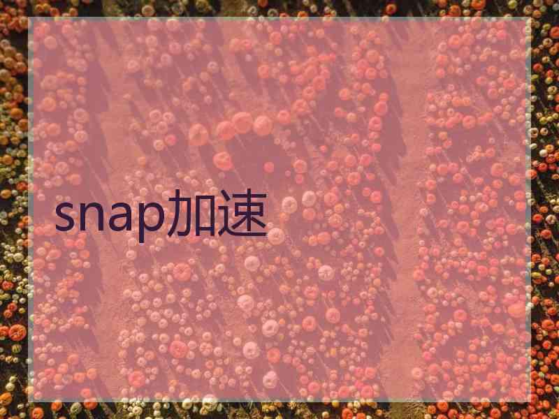 snap加速