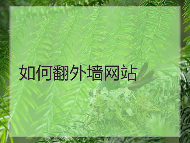 如何翻外墙网站