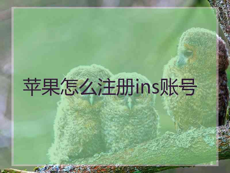 苹果怎么注册ins账号