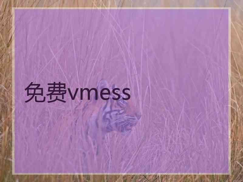 免费vmess