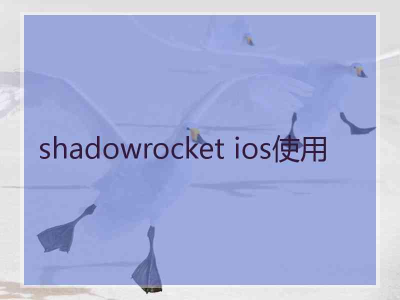 shadowrocket ios使用