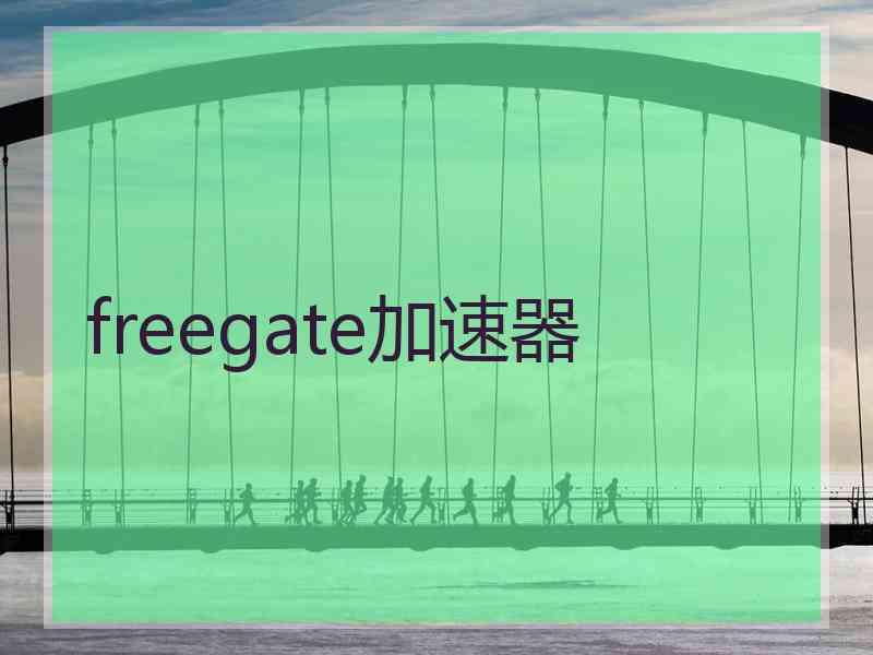 freegate加速器