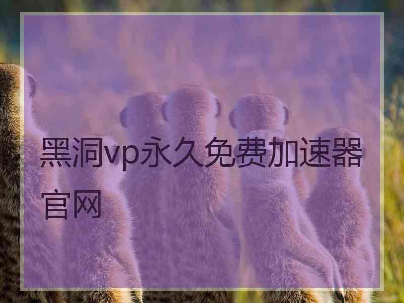 黑洞vp永久免费加速器官网