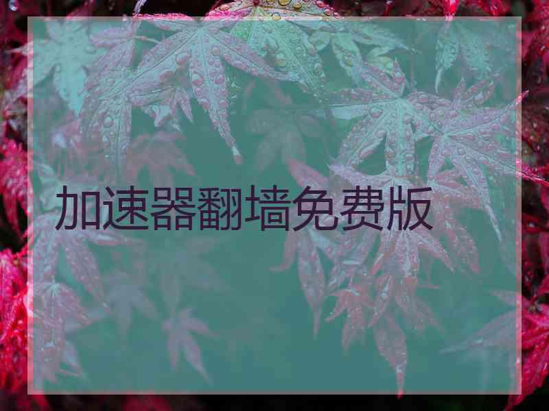 加速器翻墙免费版