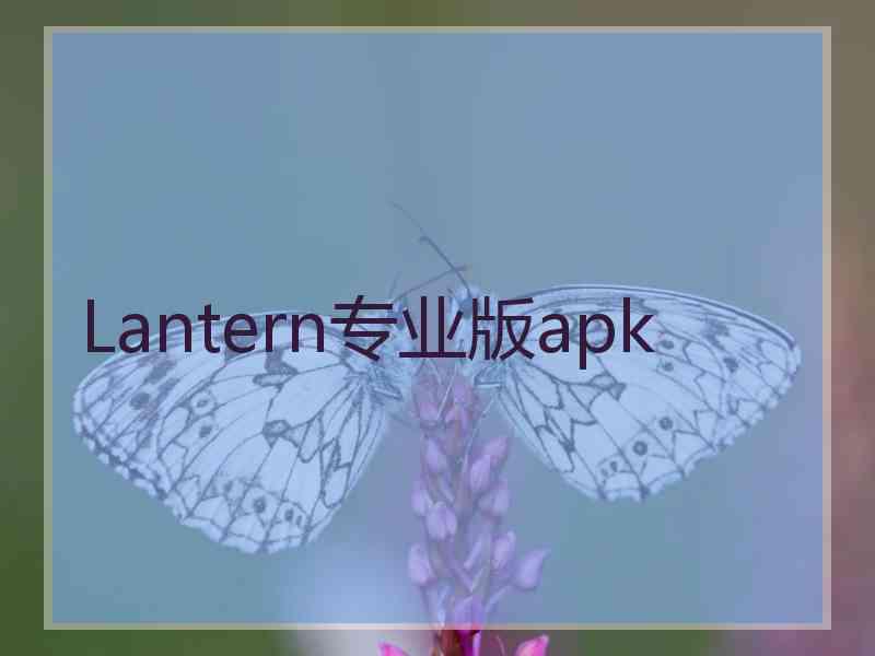 Lantern专业版apk