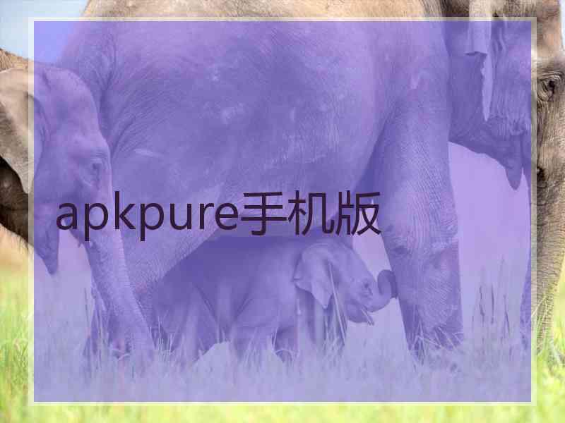 apkpure手机版