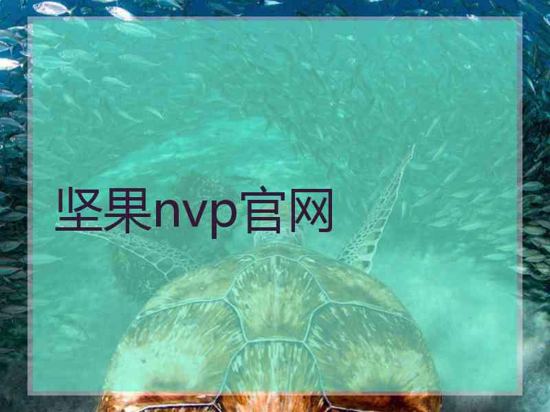 坚果nvp官网