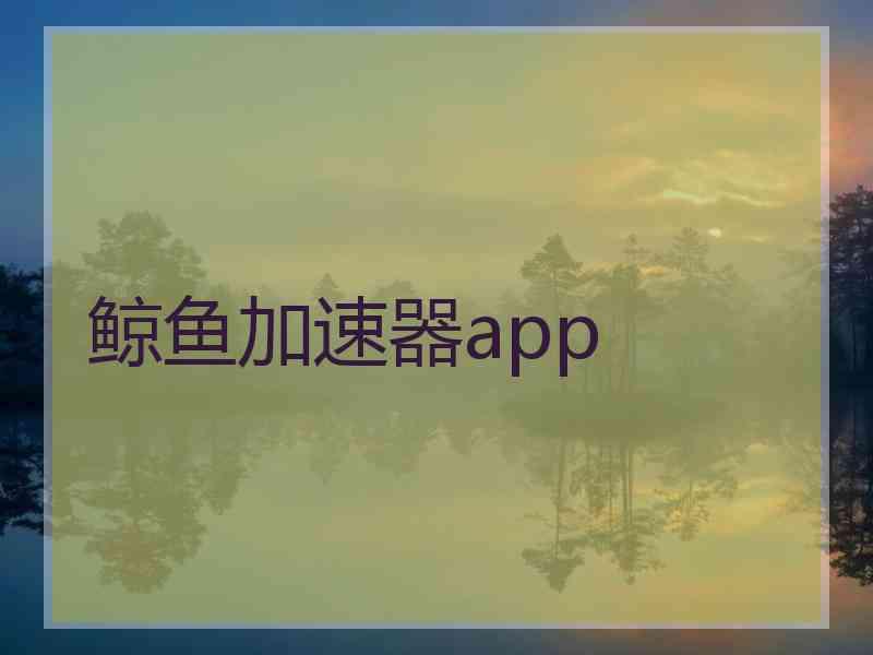 鲸鱼加速器app