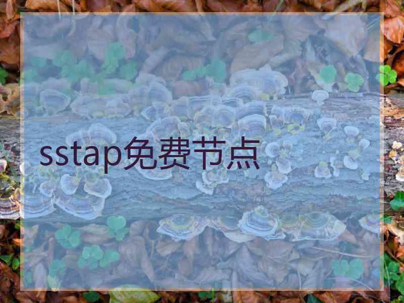 sstap免费节点