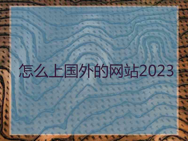 怎么上国外的网站2023