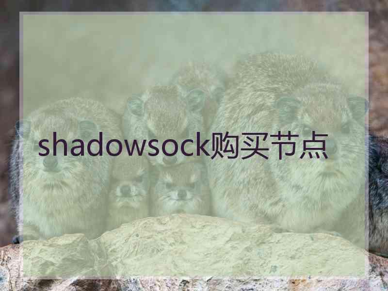 shadowsock购买节点