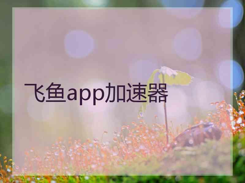 飞鱼app加速器